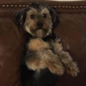 Meet your Posher, Kevin